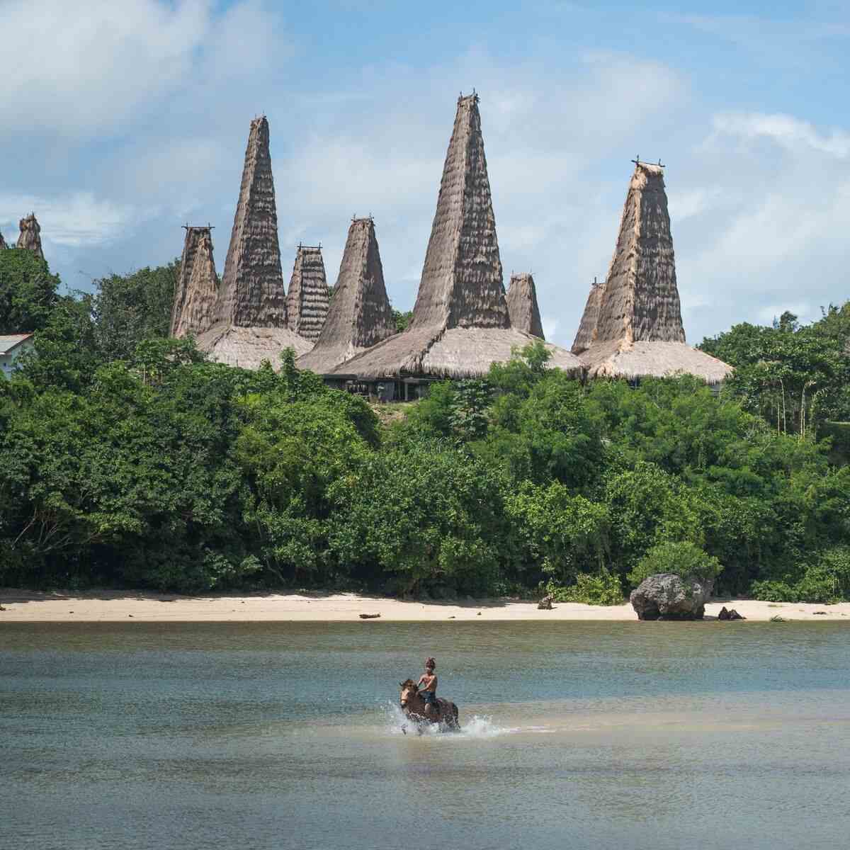 Tall thatched roofs of Ratenggaro traditional houses