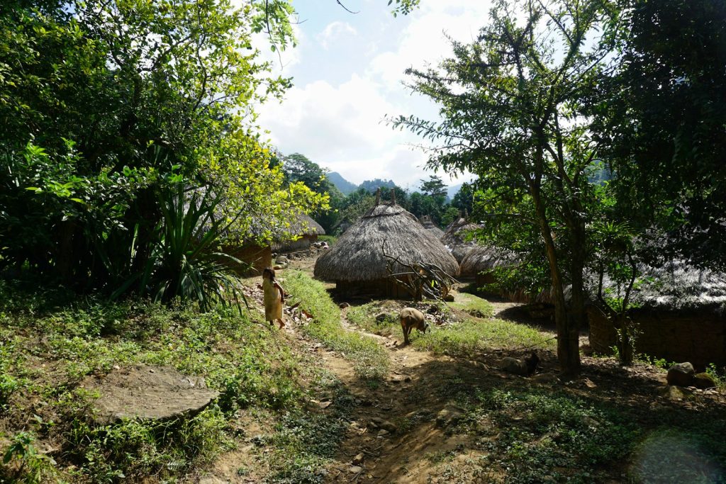 Nihi Sumba Explained, Neutrally — Plus Honest Alternatives