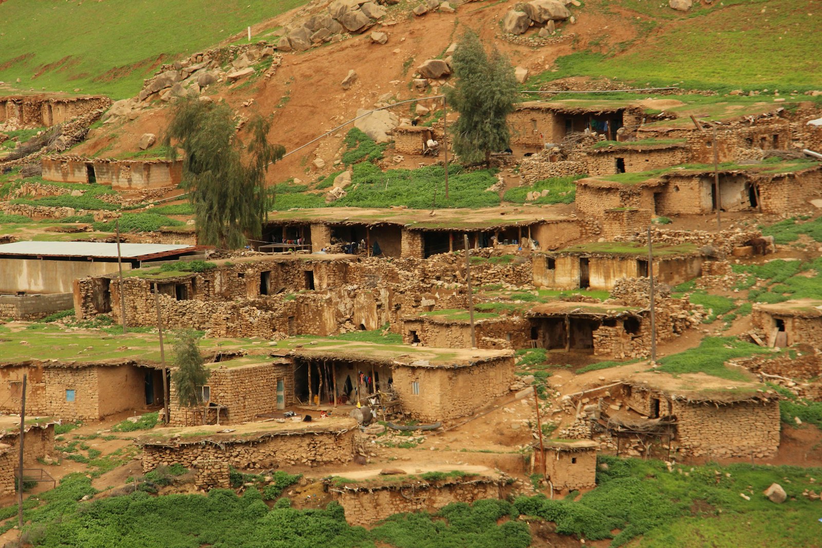 a group of houses built into the side of a hill