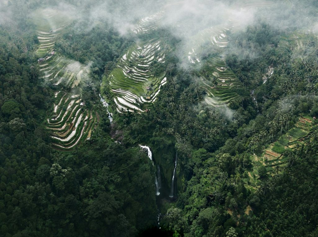 Swimming With Horses in Sumba: What’s Real and What’s Hype