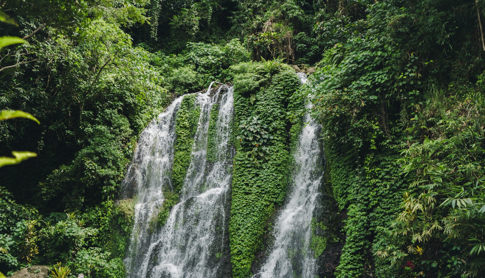 A beautiful waterfall cascades through lush greenery.